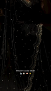 Black Satin Silk Designer Saree